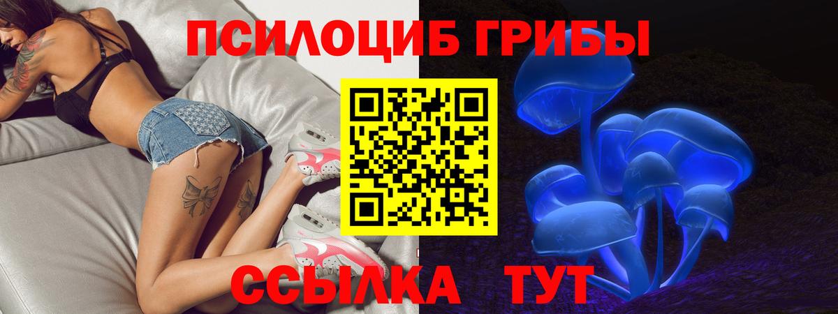 Галлюциногенные грибы MAGIC MUSHROOMS  Вход с VPN  Жуковский 